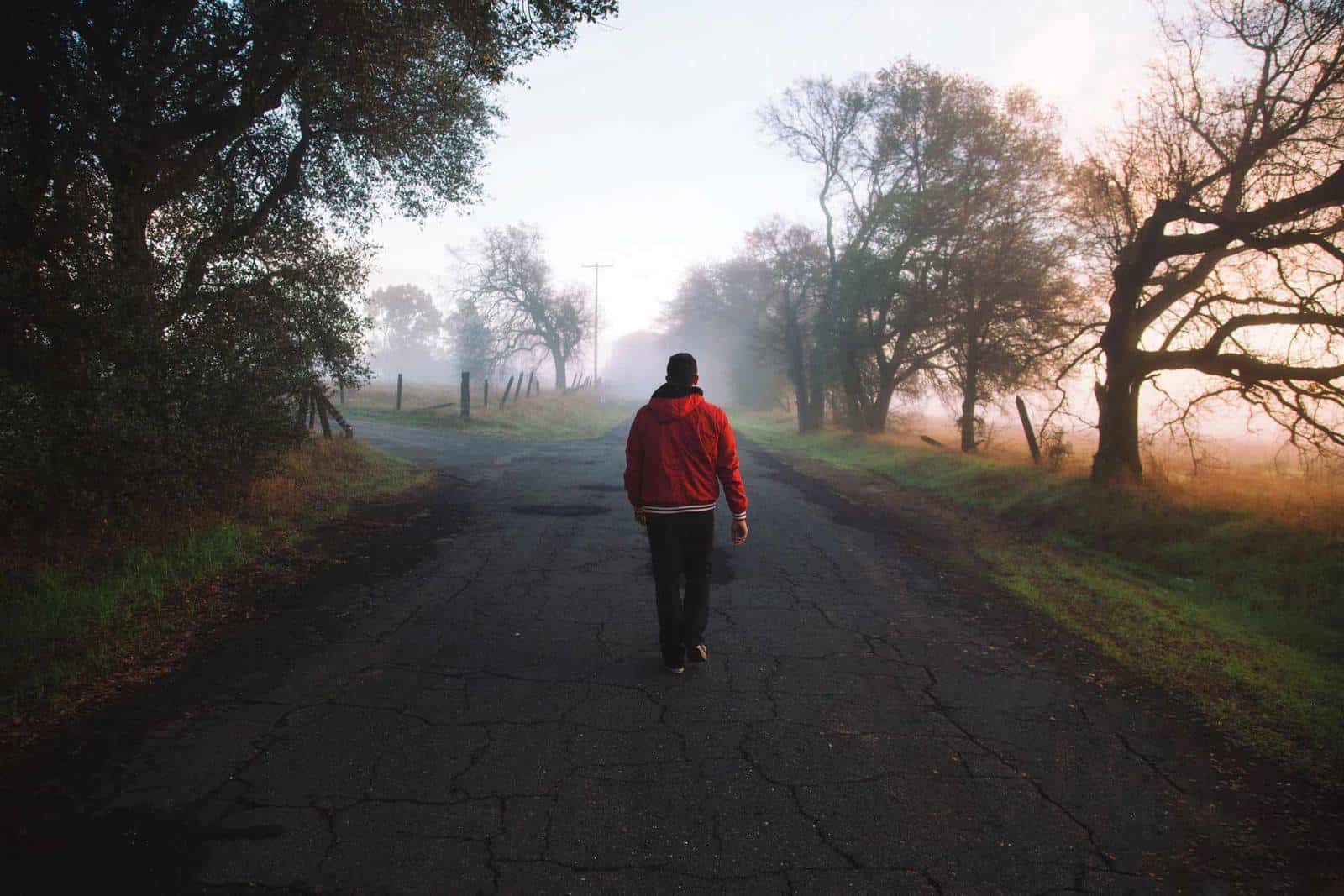 WALK IN THE PARK